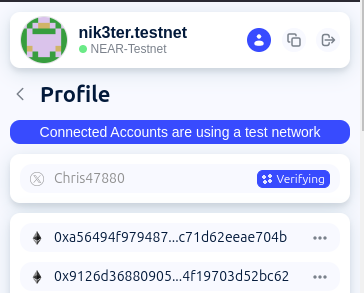 Connected Accounts in Profile
