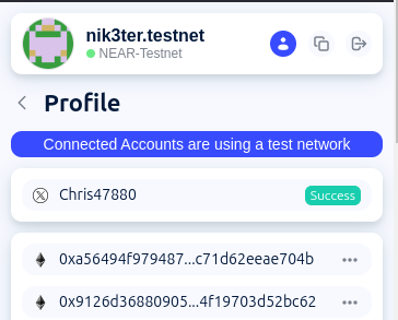 Connected Accounts in Profile