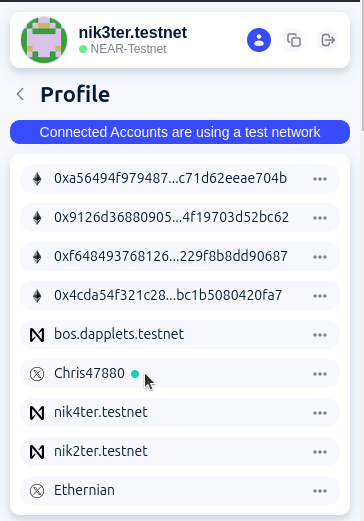 Connected Accounts in Profile
