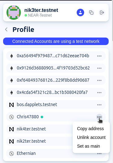 Connected Accounts in Profile