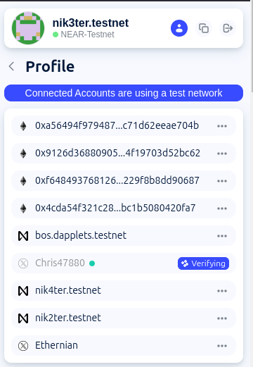 Connected Accounts in Profile
